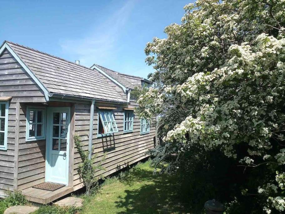 Tiny House On Isolated Farm By The Cornish Coast Villa Bude Luaran gambar