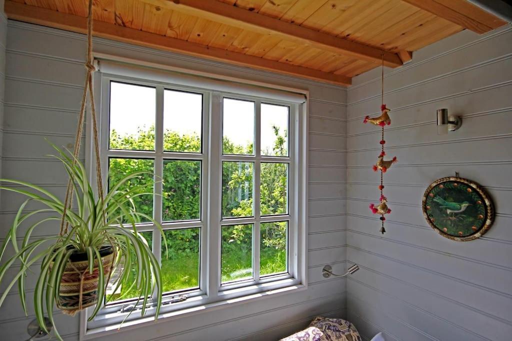 Tiny House On Isolated Farm By The Cornish Coast Villa Bude Luaran gambar