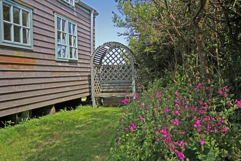 Tiny House On Isolated Farm By The Cornish Coast Villa Bude Luaran gambar